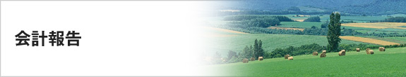 会計報告